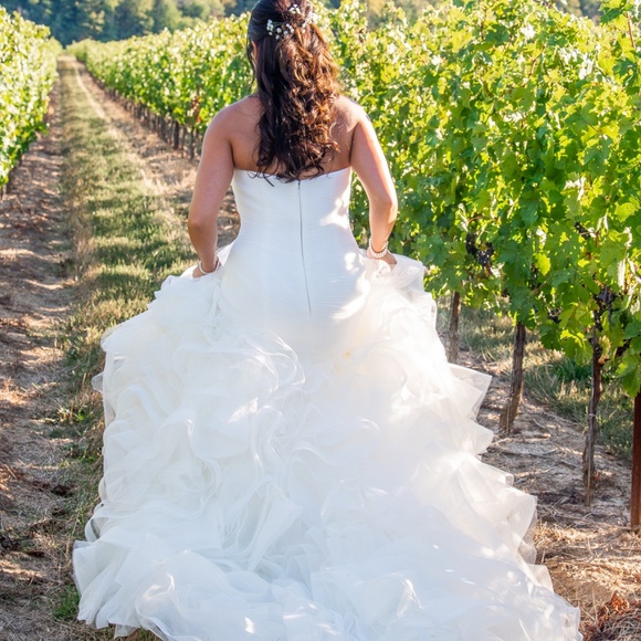 Pronovias Mildred Wedding Dress - Picture 5 of 5